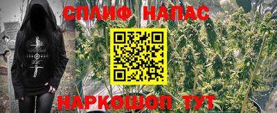 гашик Нягань
