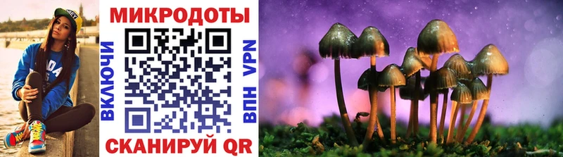 купить наркотики цена  Россошь  Псилоцибиновые грибы мухоморы 