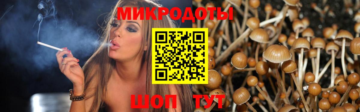 Россошь  Псилоцибиновые грибы Psilocybe  Вход с VPN 