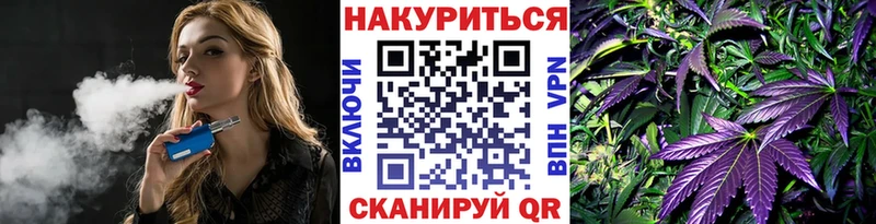 Конопля конопля Россошь